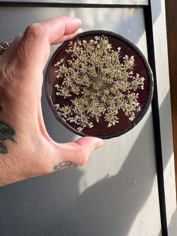 Dark Wispy Mauve Queen Anne’s Lace Coaster