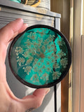 Teal Queen Anne’s Lace Coaster