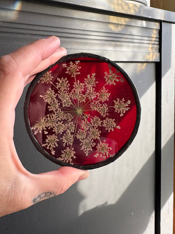 Red Queen Anne’s Lace Coaster
