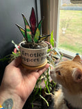 “Emotional Support” Glass Succulent