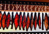 1” Fall Leaf  Earrings